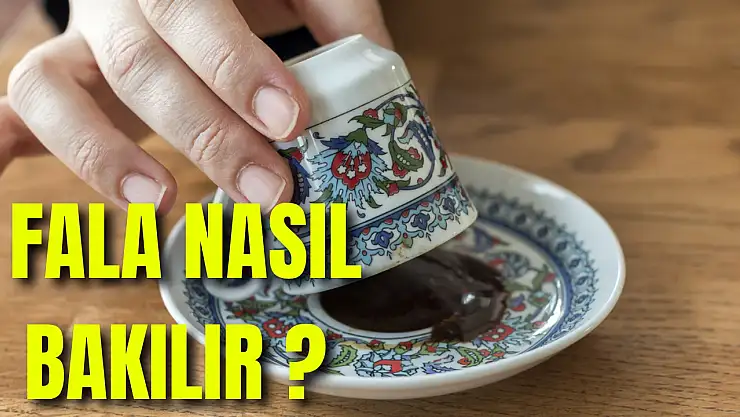 'Fal Bakmanın Püf Noktaları: Kahve, Tarot ve El Falı Nasıl Okunur?'