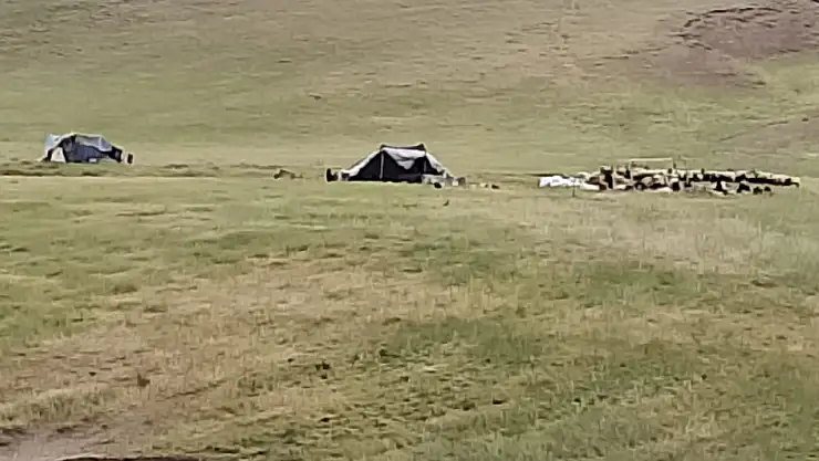 Geçim Derdi Dağlara Taşındı: Süt, Yoğurt, Peynir Derken Hayatla Savaş Başladı!