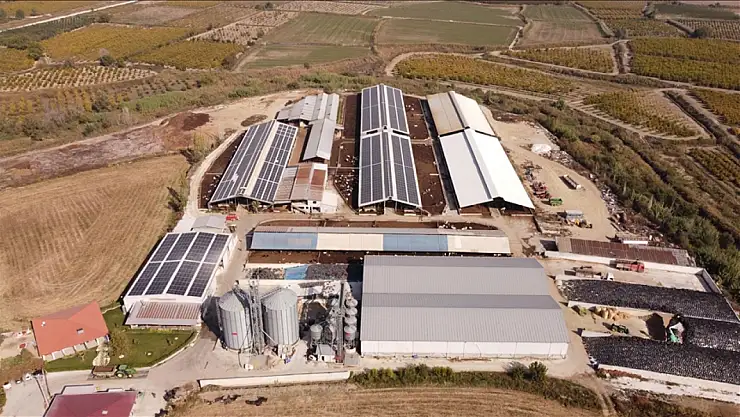 Genç üreticiler tarımın geleceğinde söz sahibi oluyor