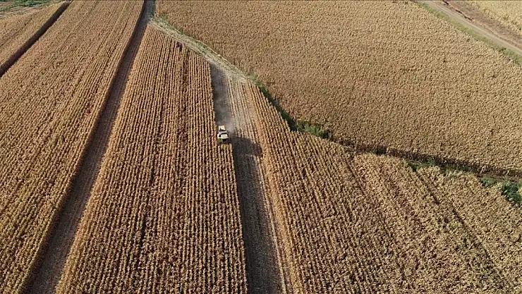 Gençleri tarıma döndürmek için acil teşvik çağrısı