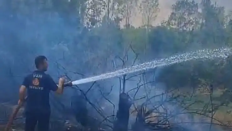 Gevaş'ta Bahçeleri K Flames Yakan Yangın, Vatandaşlarda Korkuya Neden Oldu