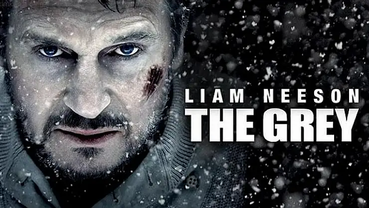 Gri Kurt Filmi Oyuncuları ve Konusu, Gerçek mi?