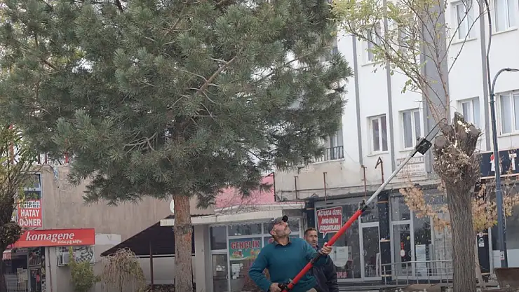 Güroymak'ta Kış Budama Çalışmaları Başladı