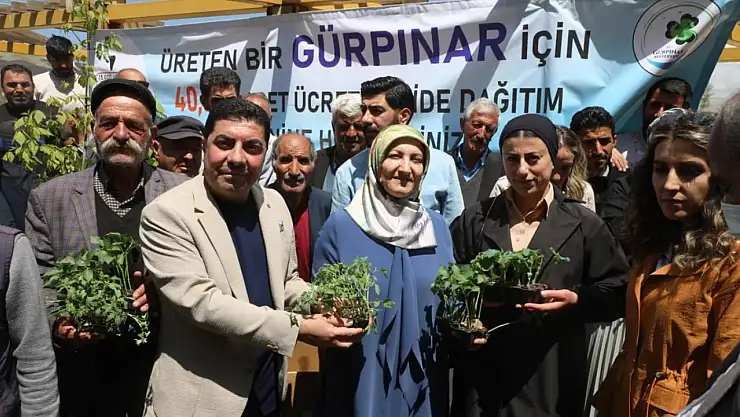 Gürpınar Belediyesi'nden Çiftçilere Destek: 45 Bin Sebze Fidesi Ücretsiz Dağıtıldı