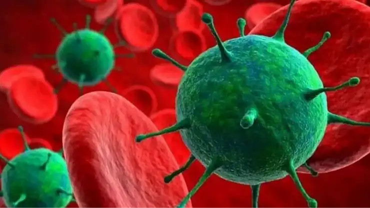 H3N2 virüsünden nasıl korunulur? H3N2 virüsü Türkiye'de var mı? H3N2 virüsü nedir, belirtileri nelerdir?