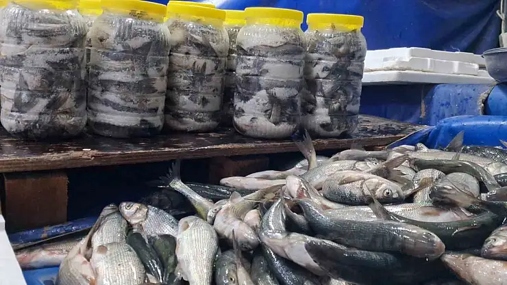 Havaların soğumasıyla inci kefali tezgahlarda, balık tüketimi artıyor