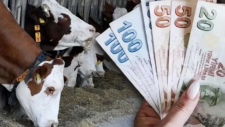 Hayvancılığa destek miktarı güncellendi! Resmi Gazete'de yayımladı: Detaylar belli oldu!
