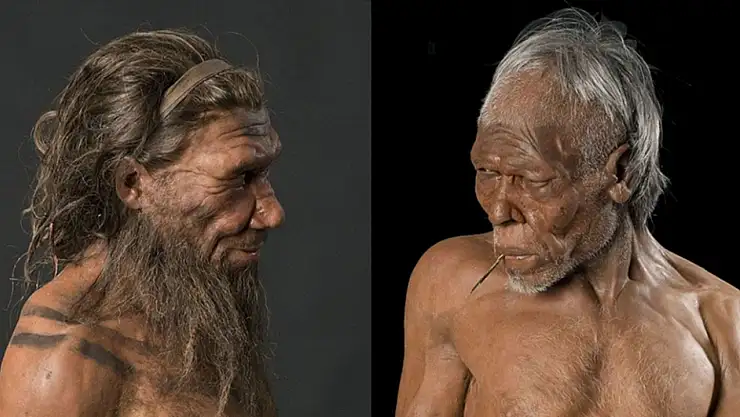 Homo Sapiens Ne Demek?