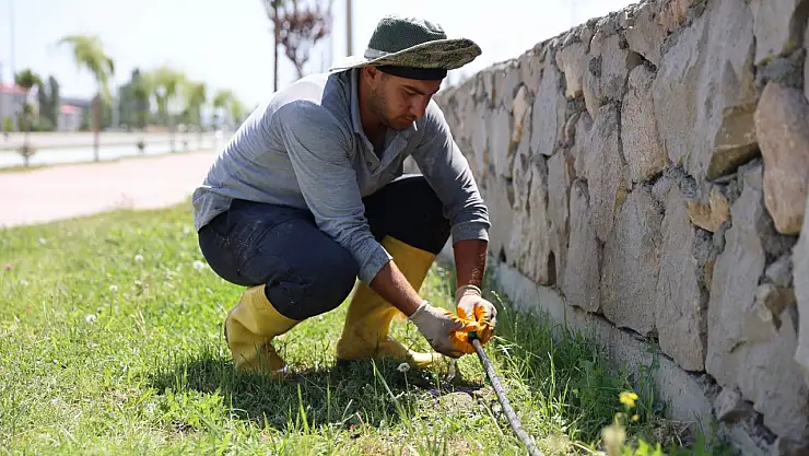 Iğdır Belediyesi'nden yeşil alanlara kapsamlı bakım ve temizlik hizmeti