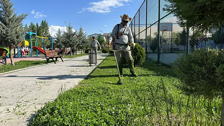 Iğdır Belediyesi, Şehri Yeşillendirme Çalışmalarına Devam Ediyor