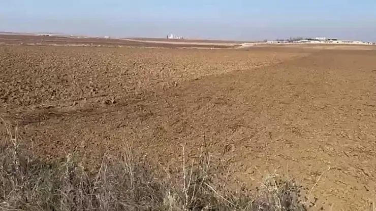 Iğdır'da arazi anlaşmazlığı kavgası: 4 yaralı