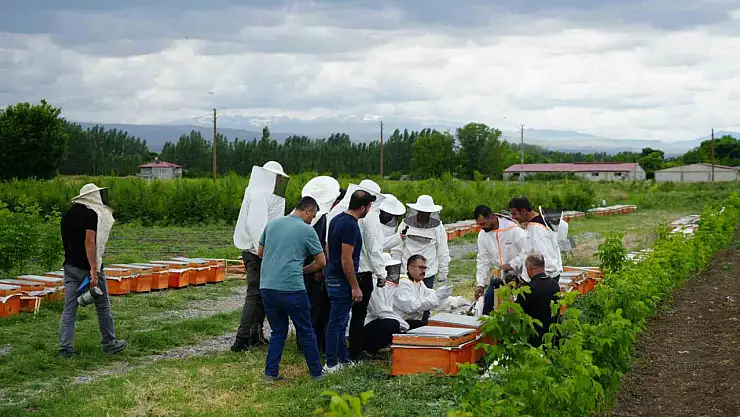 Iğdır'da Arı Kovanları İçin Dağıtım Töreni Gerçekleştirildi