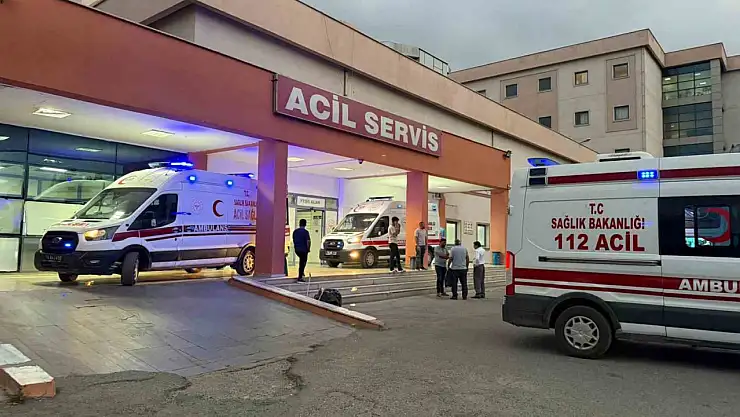 Iğdır'da Bir Pasta Felaketi Daha: Yedi Kişi Hastaneye Kaldırıldı
