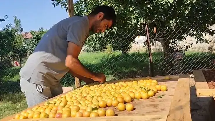 Iğdır'da Güneş Enerjisi ile Kurutulan Meyveler Pazarlarda Demet Demet Kapışılıyor