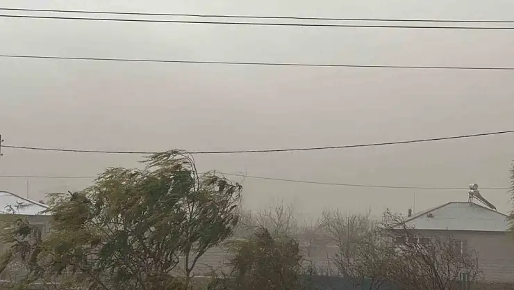 Iğdır'da hava krizi: Toz bulutu her yeri sardı
