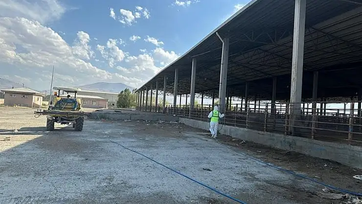 Iğdır'da Hayvan Sağlığı İçin Dezenfeksiyon Çalışmaları Devam Ediyor