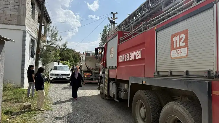 Iğdır'da Kamelya Yangını Korkuttu: Can Kaybı Yaşanmadı