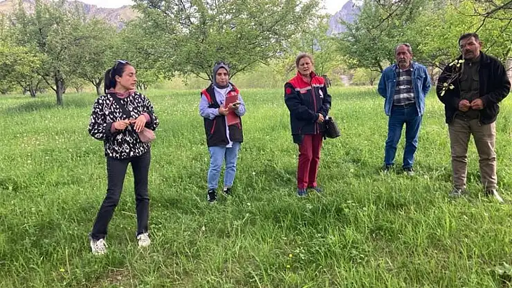 Iğdır'da Meyve Bahçelerinde Hastalık ve Zararlılara Karşı Stratejiler Ele Alındı