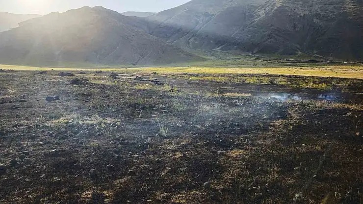 Iğdır'da Tarla Yangını: 250 Bale Ot Alev Alev Yandı
