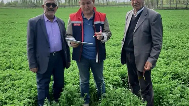 Iğdır'da yem kontrolleri devam ediyor