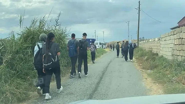 Iğdır'daki okul yolu tehlike saçıyor: Otlar ve dar alan kazalara davetiye çıkarıyor
