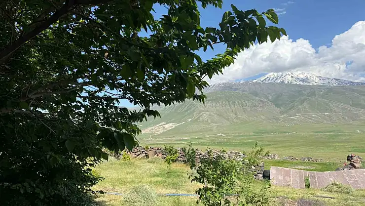 Iğdır'ın Çorak Toprakları Yeşil Mucizelere Ev Sahipliği Yapıyor!