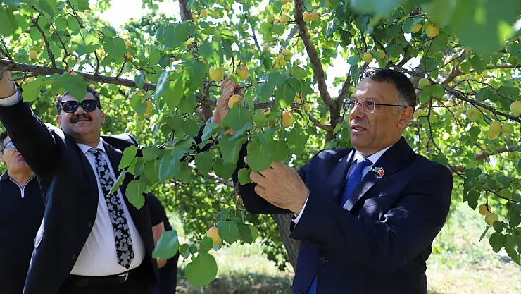 Iğdır Üniversitesi'nde Kayısı Hasadı Etkinliği ile Tarımsal Üretim Vurgusu yapıldı