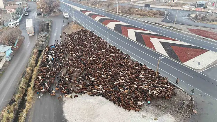 Iğdırlı göçerler zorlu yayla dönüş yolculuğunu tamamladı, kış hazırlıkları başladı