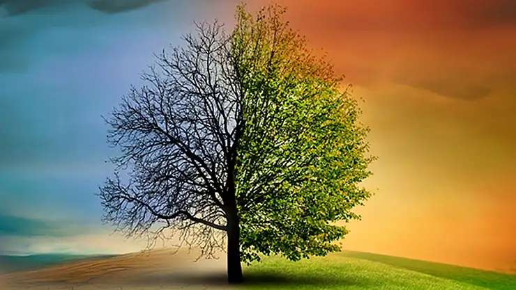 İklim Kanunu Neden İstenmiyor, Tepki Çekiyor?