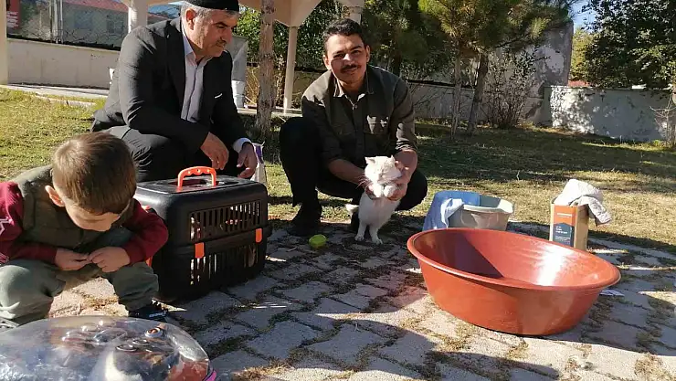 İmam Hatip, cami etrafındaki kedilere bebek gibi bakarak farkındalık oluşturuyor