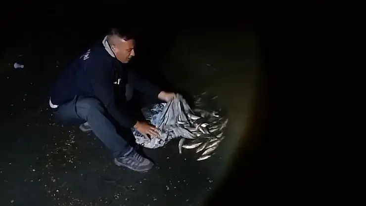 İnci kefali göçü başladı, av yasağına yönelik denetimler 24 saat sürüyor!