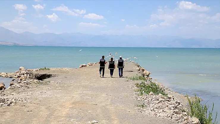 İnci kefali koruma altına alındı, kaçak avcılara göz açtırılmıyor