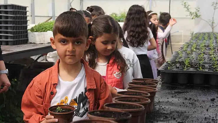 İskele Anaokulu öğrencileri, serada doğayla buluşup çiçek dikti!