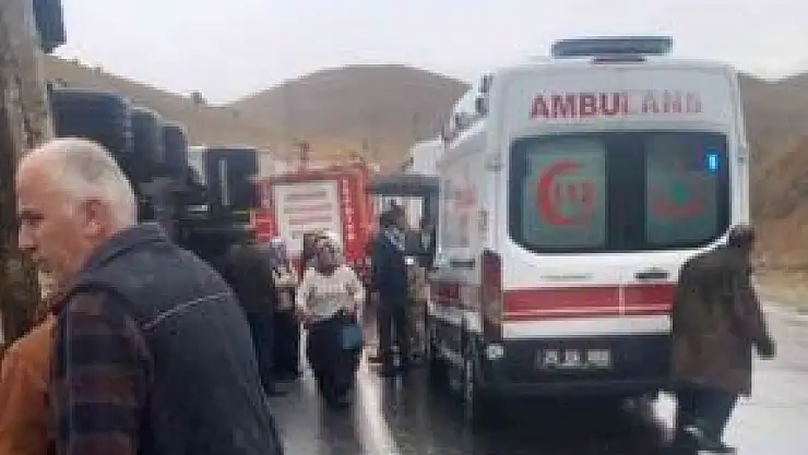 İspir'de Koyun Yüklü TIR Kazası: Sürücü ve Çocuk Yaralı, Hayvanlar Telefi oldu