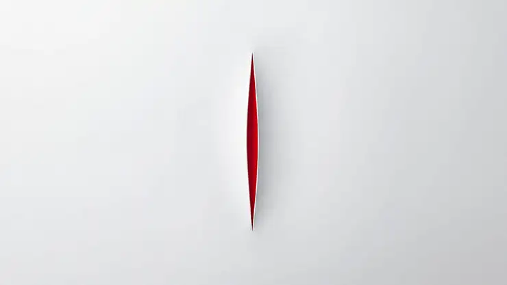 İzmir Genital Bölge İç Dudak Ameliyatı Fiyatı Ne Kadar? (2025)