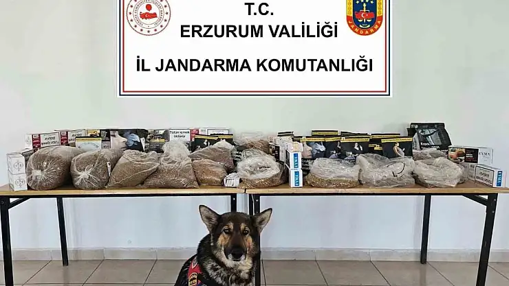Jandarma'dan Kaçak Tütüne Darbe