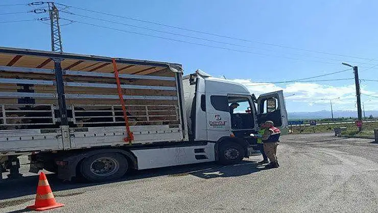 Jandarmadan Düzensiz Göçmenlere Yönelik Geniş T kapsamlı Operasyon Gerçekleştirildi