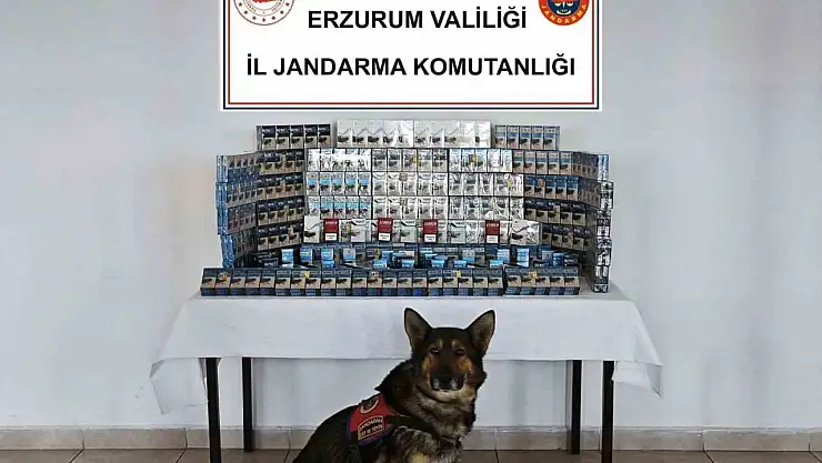 Jandarmadan kaçakçılara geçit yok