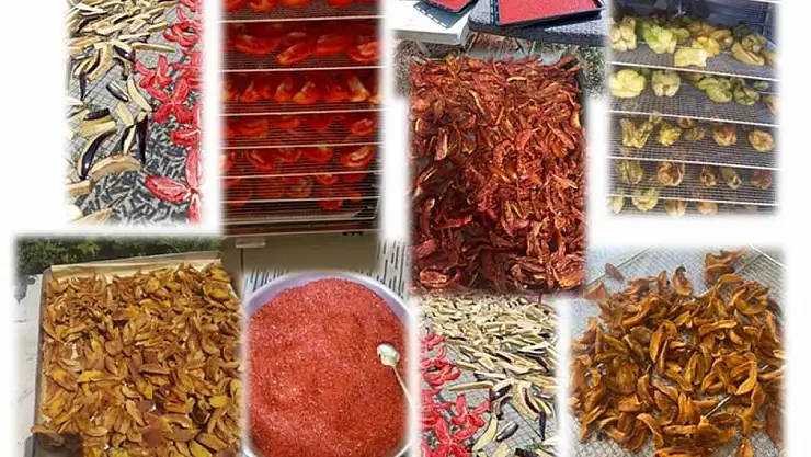 Kadın Üreticiler Tarımda Sofraya Giden Yolu Güçlendiriyor