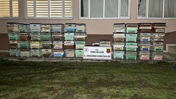 Kağızman ve Tuzluca'da Meydana Gelen Arı Kovanı Hırsızlığı Olayları Aydınlatıldı