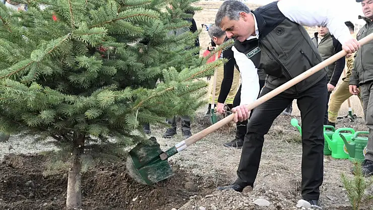 Kan bağışı ile ağaçlandırma bir arada: 12 milyon fidan hedefleniyor!