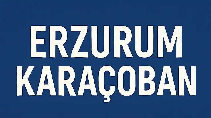 Karaçoban Nüfusu – Erzurum Güneydoğu Kapısında Mahalle Temelli Demografik Dağılım