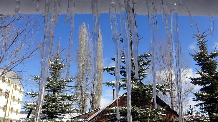 Kars, Ağrı, Ardahan ve Erzurum'da kar ve dondurucu soğuk etkili oldu