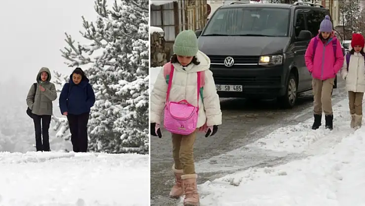 Kars ile Ağrı'da kar yağışı ve soğuk hava etkili oluyor