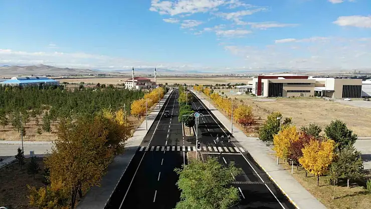 Kars'ın Sonbahar Renkleri: Sarı ve Turuncunun Görsel Şöleni