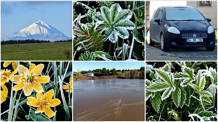 Kars Sarıkamış'ta Sabah Soğuğuyla Buz ve Kırağı Manzarası