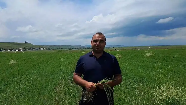 Kars'ta Dolu Felaketi Tarım Alanlarını Vurdu!