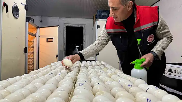 Kars'ta kaz yetiştiriciliğinde Macar yumurtalarıyla yeni bir dönem başlıyor!