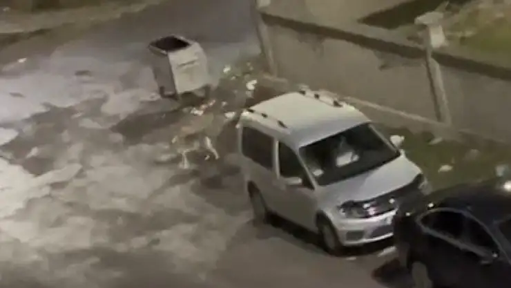Kars'ta Kurt Kent Merkezinde Görüntülendi, Vatandaş Kaydetti