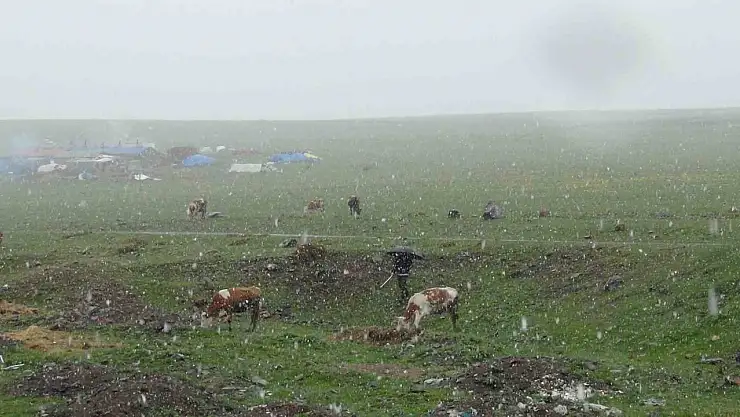 Kars'ta Mayıs Sürprizi Kar Yağışı Hayrete Düşürdü